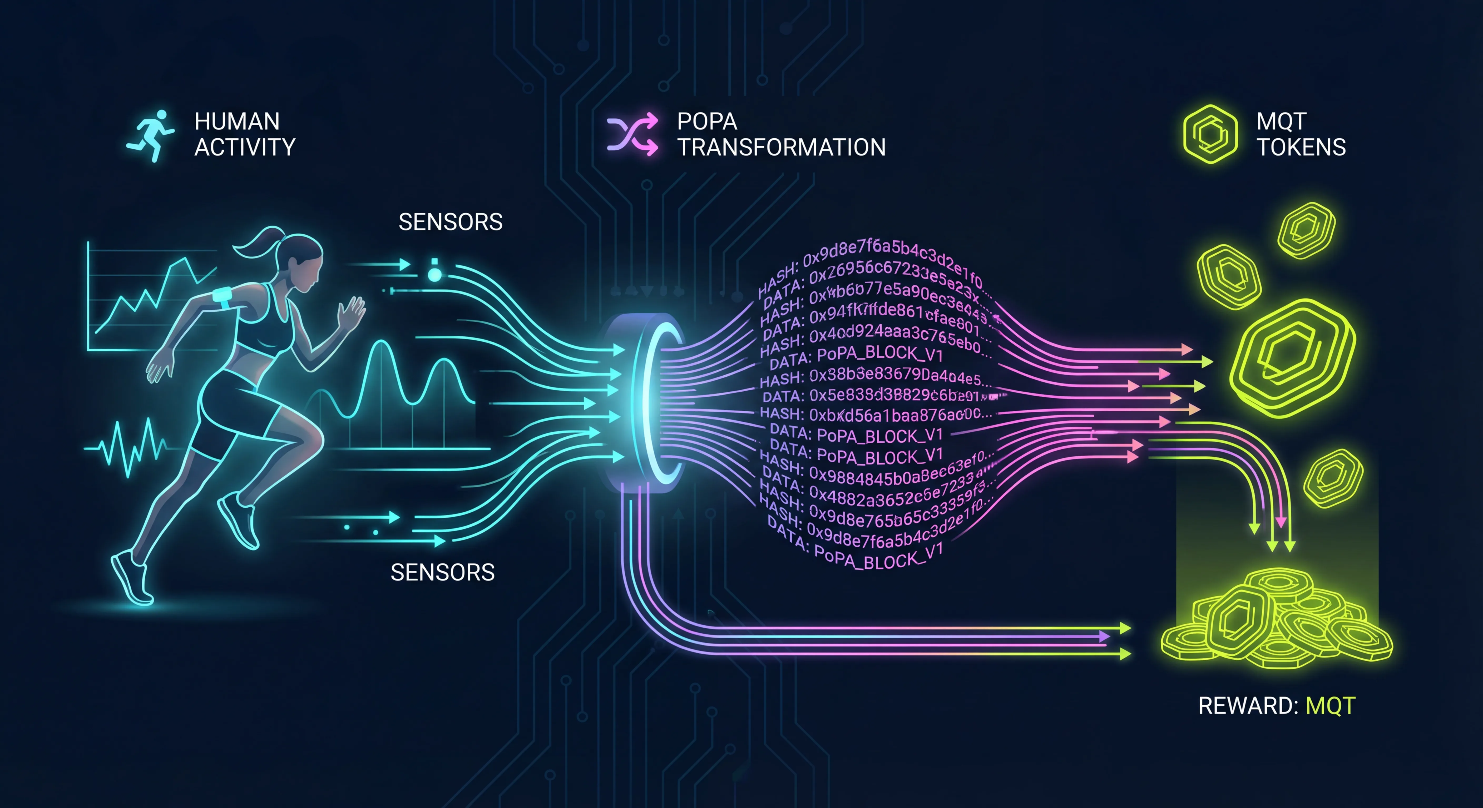Data Privacy Shield